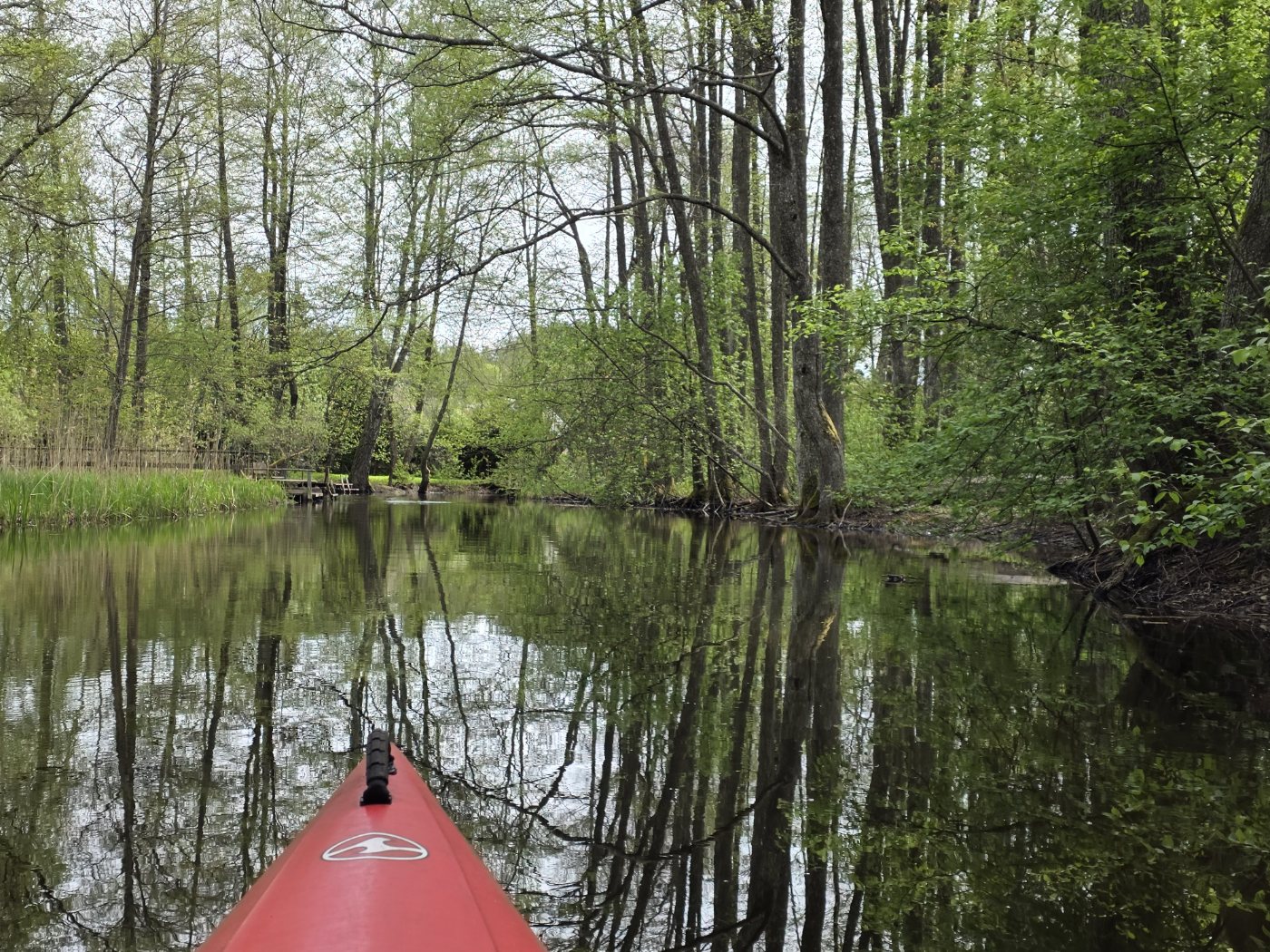 A view from the kayak
