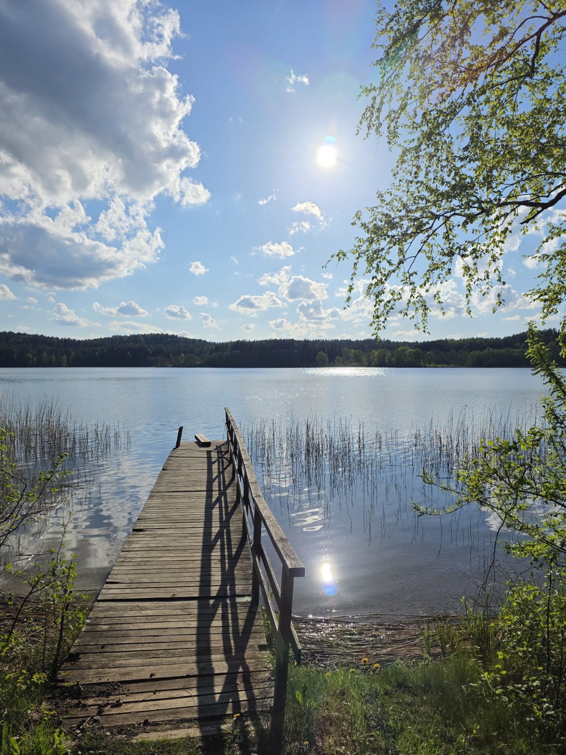 A pier on the lake